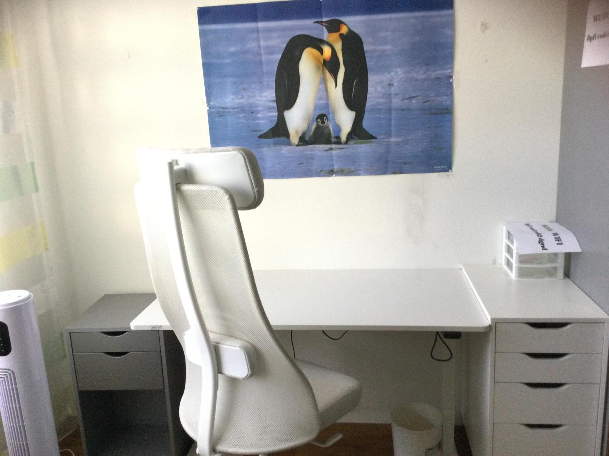 Chambre Spacieuse Et Confortable Avec Ecran Plat Oetwil an Der Limmat Eksteriør bilde